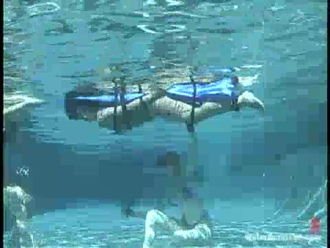 Underwater Bondage Drown